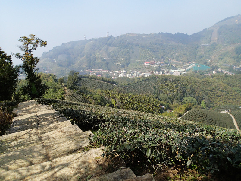 走不動了.坐著賞景.補充體力一番