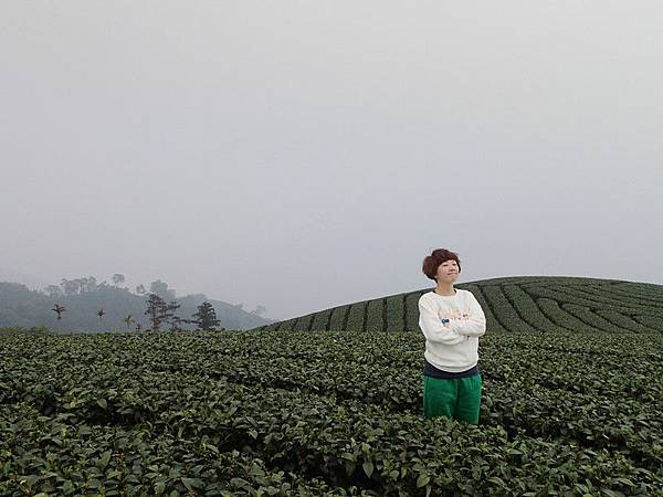 天才很喜歡這張