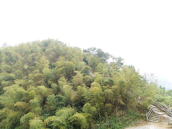 回程囉!下山容易.上山難呀!