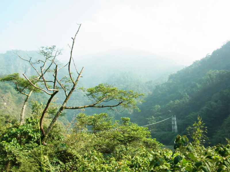 在瑞龍瀑布抵達前.會先抵達瑞龍吊橋