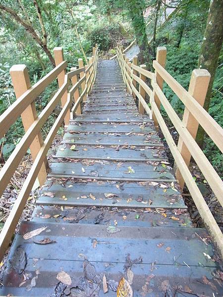 竹林內有點潮濕.走路要小心喔!