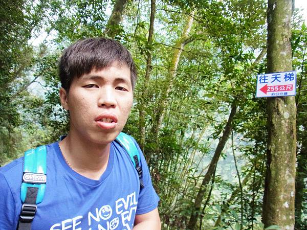 阿呆這臉快要掛掉了