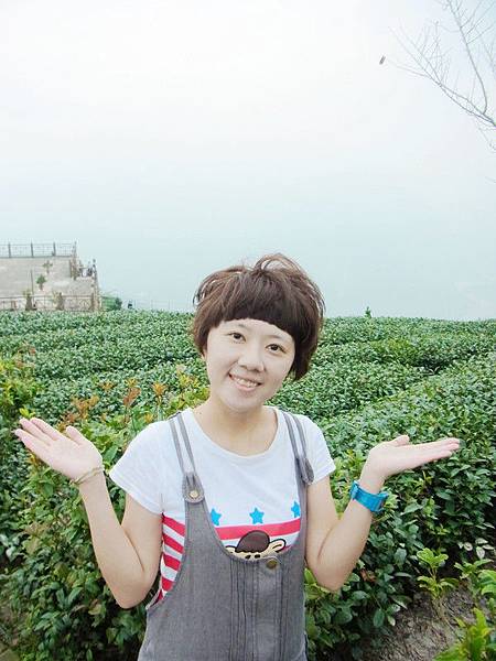 但絕佳的空氣.和視野還是讓天才愛上這裡