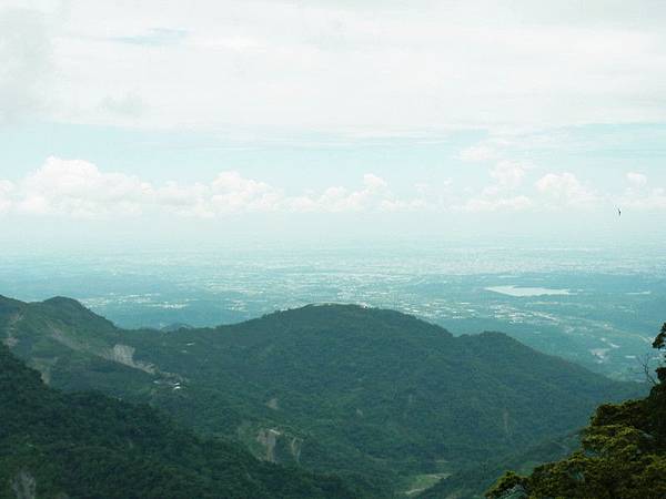 11點到山上時還下起了陣陣霧雨.心想該不會又要敗興而歸吧!