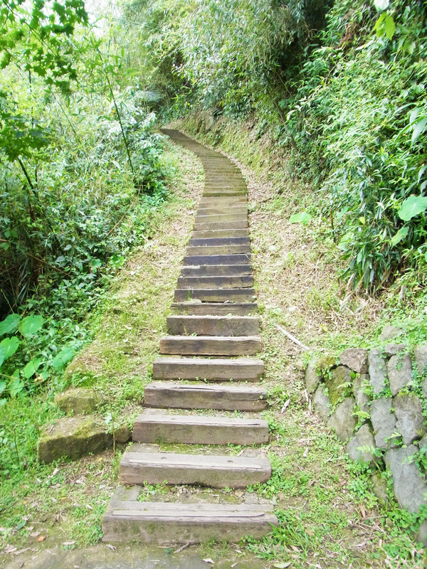 登山步道的木棧道.非常好走.但是階梯好長.走起來還是很喘