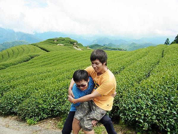 天才鼓吹阿狗抱阿呆.