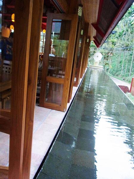 視覺與聽覺的雙重享受呀!