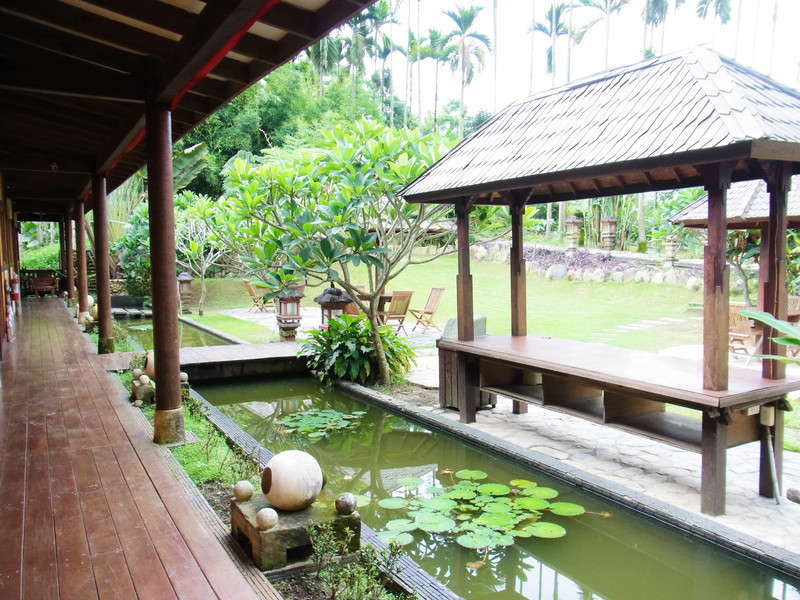 就是庭園生態池蟲鳴鳥叫聲.庭園空間很足夠孩子們在此奔跑跳躍