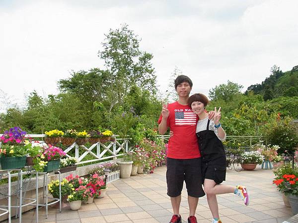 可愛的店狗們.親切的民宿主人.壯麗的景觀