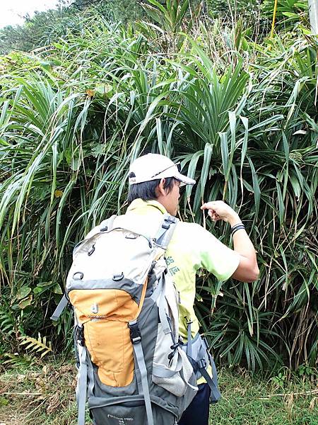 馬上就替我們解說林投樹..很有趣