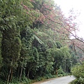 產業道路要走一段路喔~會再經過幾棟民宿