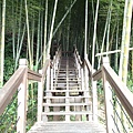 前段為竹林遮蔭的步道