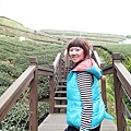茶園步道拍好美喔!
