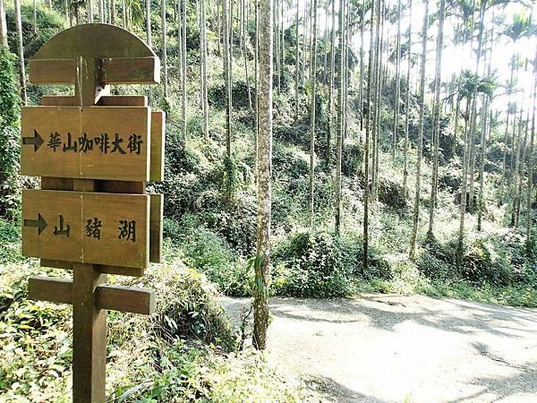 繼續跟著指標..就會接到外面的產業道路.