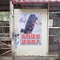 裡面真的有獒犬喔!