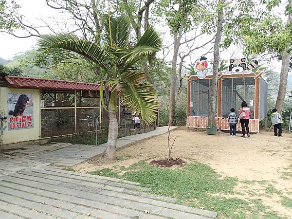 其他就是可愛小動物