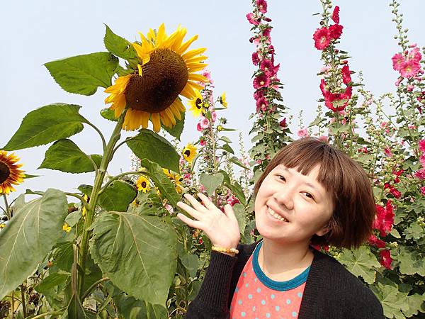 還是看鏡頭比較可愛啦!