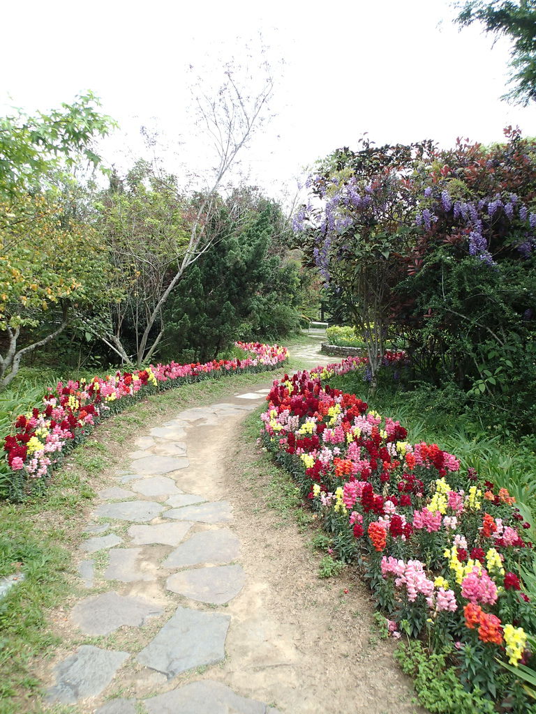 走進森林花園.如迷宮般..相當有趣