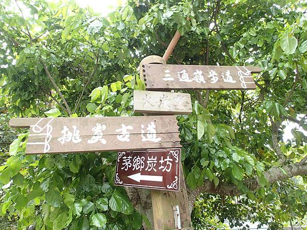 趁著平日天才阿呆ㄌㄞ