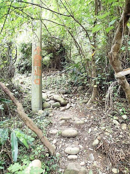 看到很原始林的登山口囉!