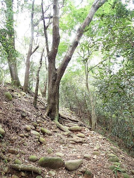 右側那一點點路.不要懷疑.正是要往火炎山的路