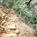 走路嚴防腳滑.右側就滑到樹林囉!