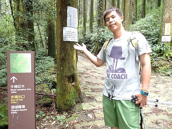 直走步道5分鐘路程左轉就可下山.完成頂湖環山.是很輕鬆的路線