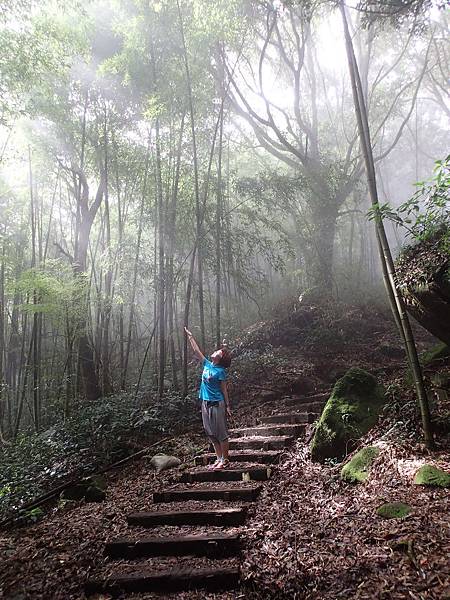 就是這個光拉..可天才站錯位置>":<