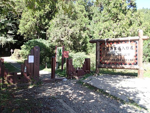 我們要從阿里山公路96.5公里處的自忠開始走