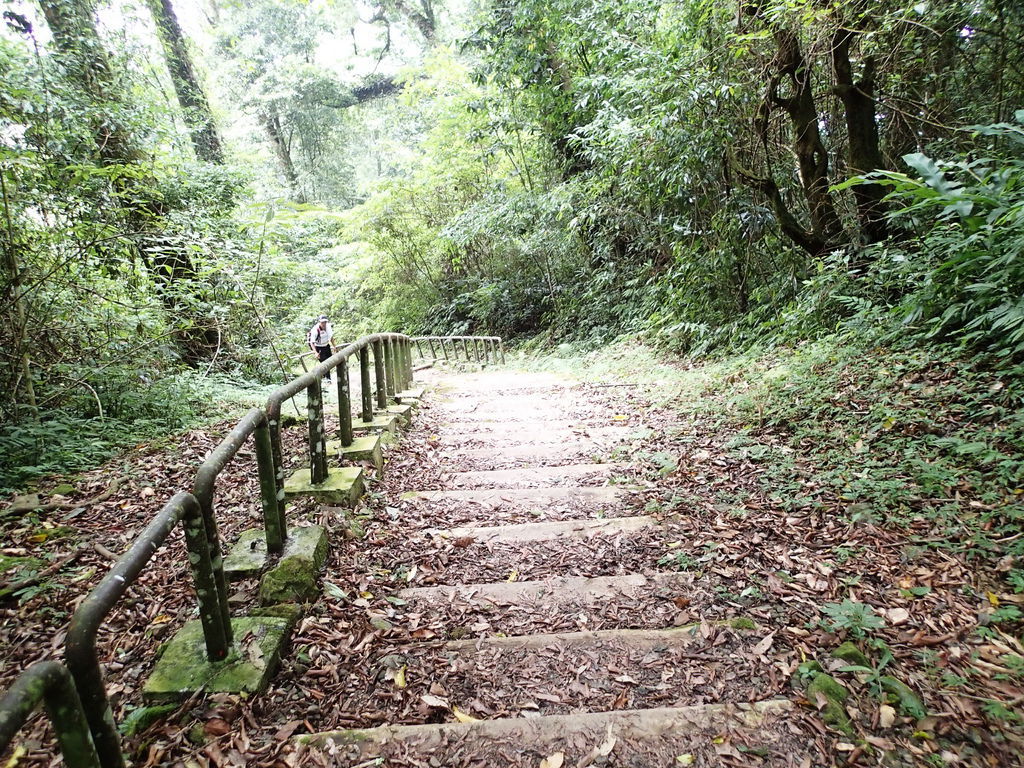 不想發抖的雙腳.不聽使喚地發抖阿