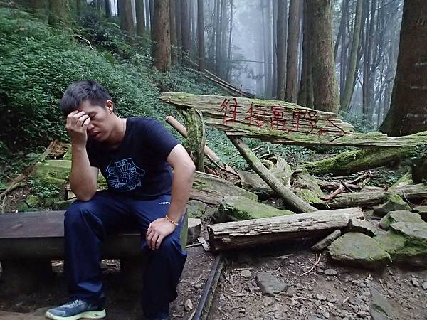 看阿呆已經快撐不住了