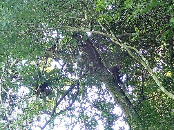 記得不要餵食喔!