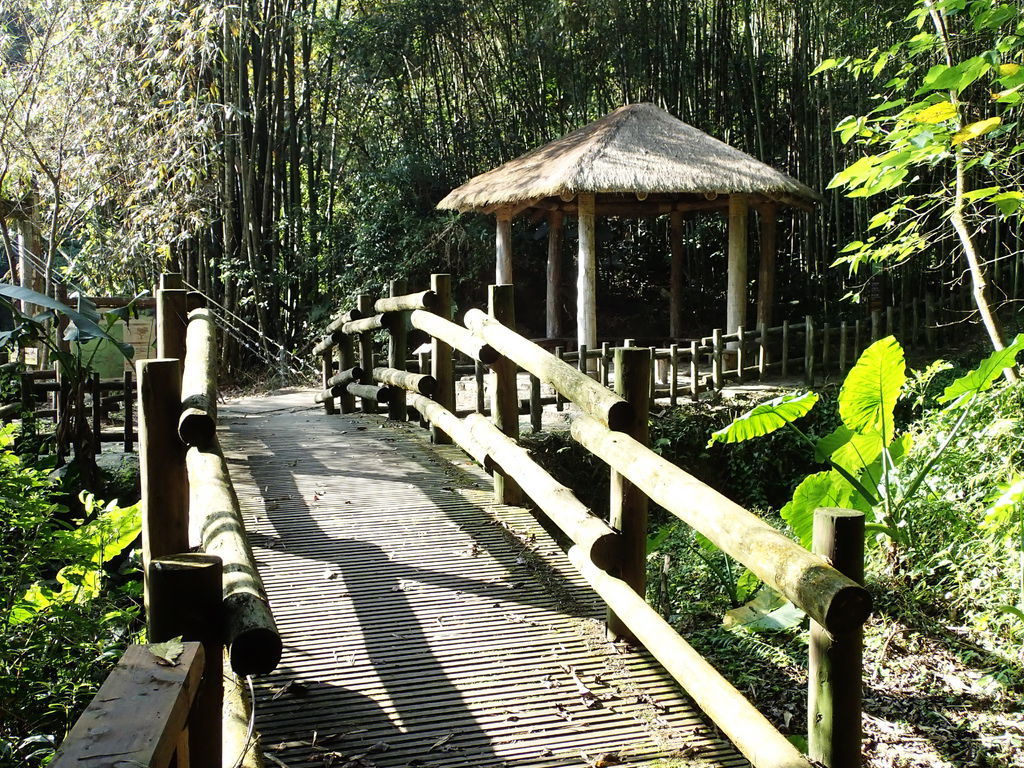 終於抵達今日福山古道的終點站涼亭囉!