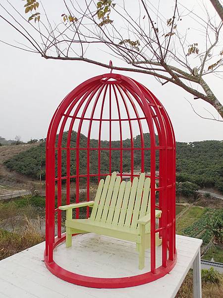 沿著山頭走發現空中鳥籠