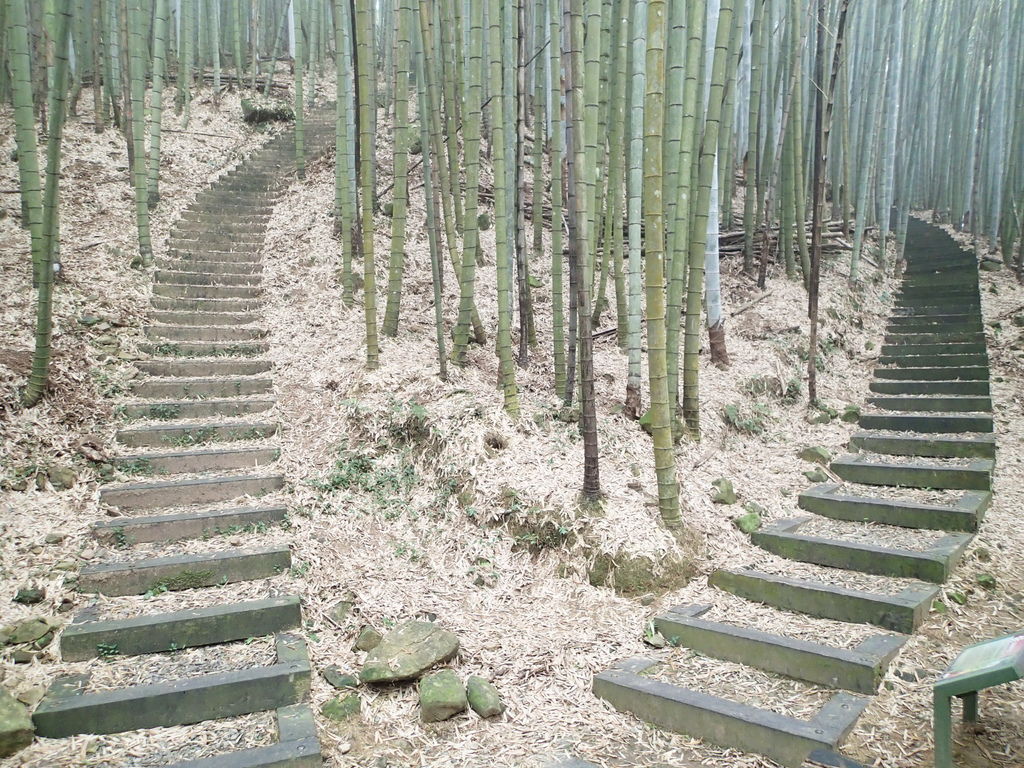 再來的分岔路很有趣.很像照鏡子一樣