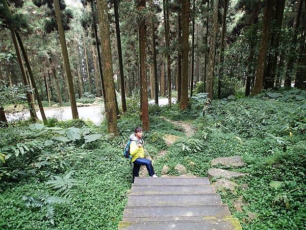 馬路就在旁邊而已.超近