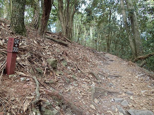 因為是個有名的中級名山.路線很清楚