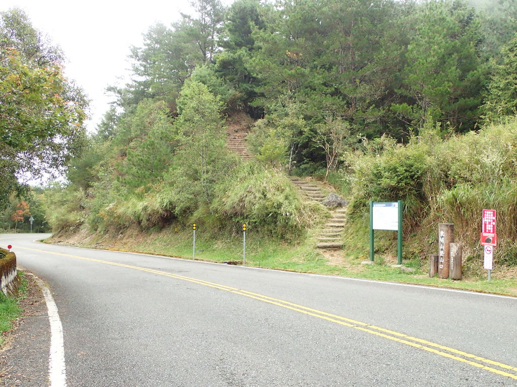 PA110929.jpg