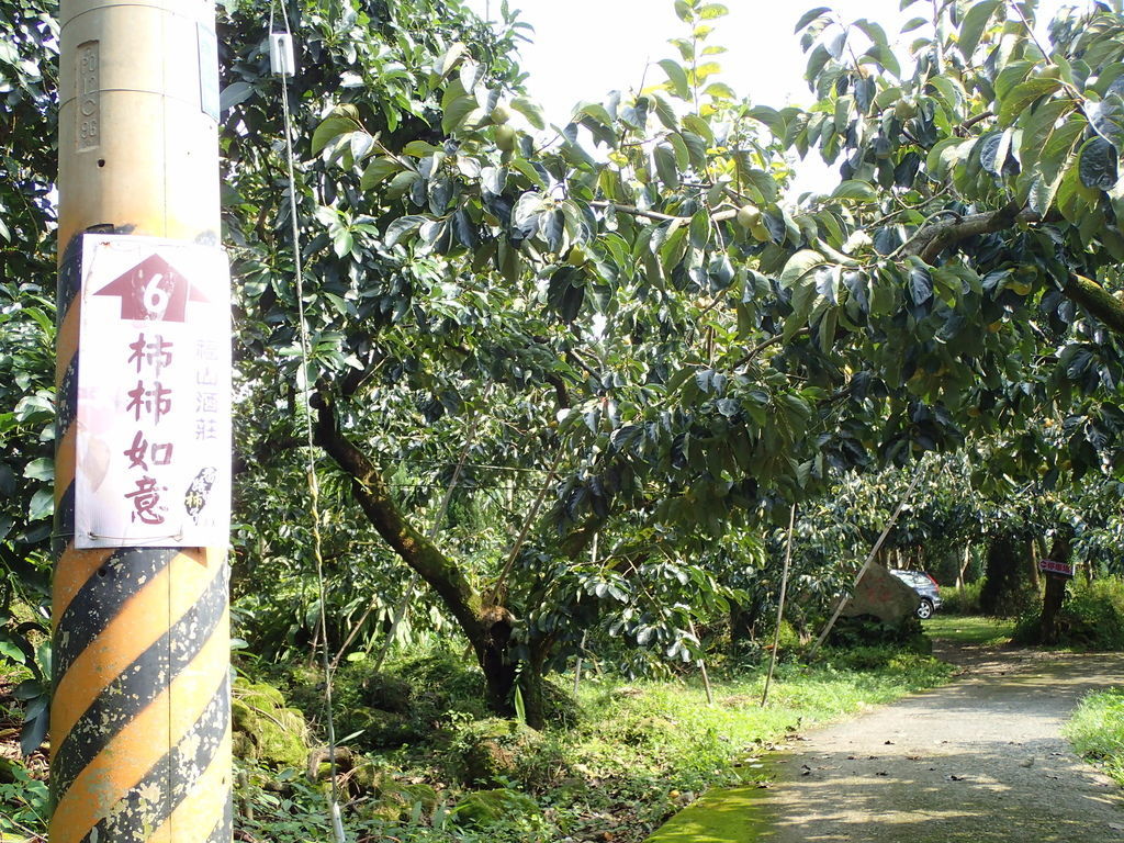 PA020557.JPG PA020557.JPG