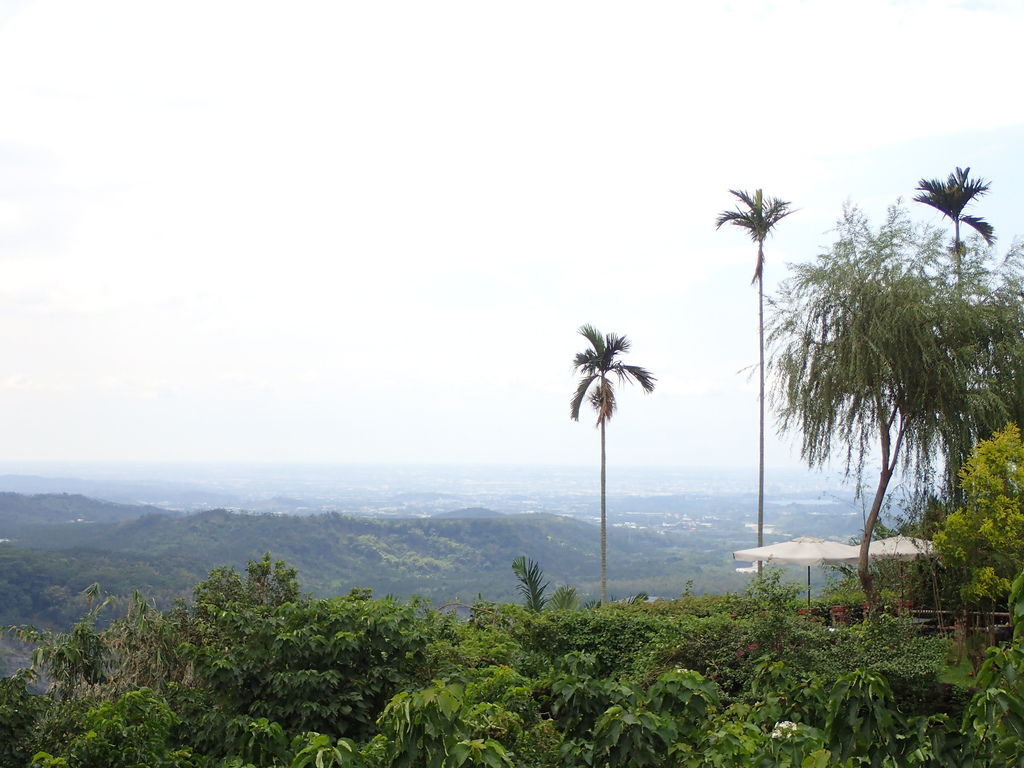 PA020418.JPG PA020418.JPG