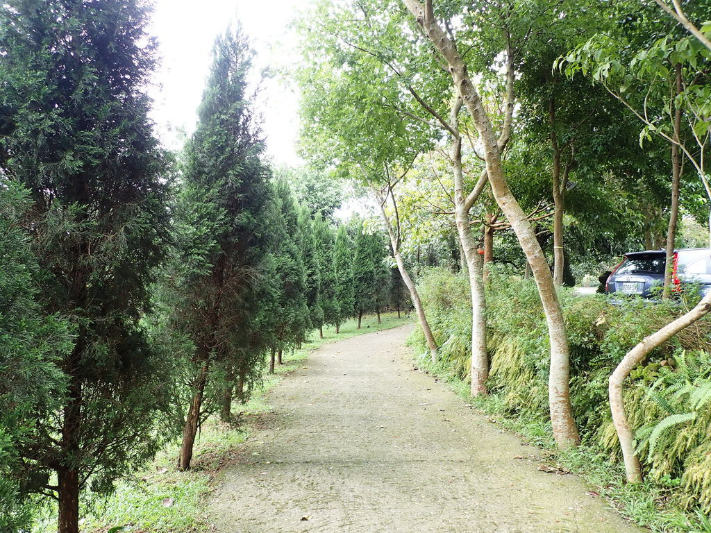 PA020430.JPG PA020430.JPG