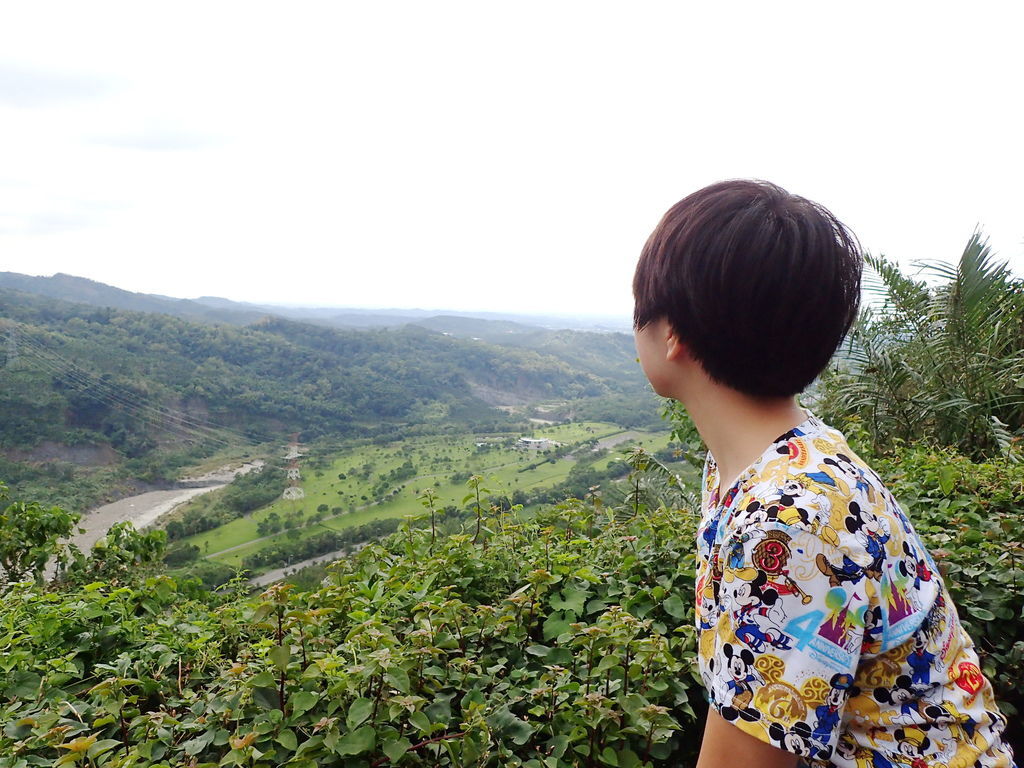 PA020485.JPG PA020485.JPG