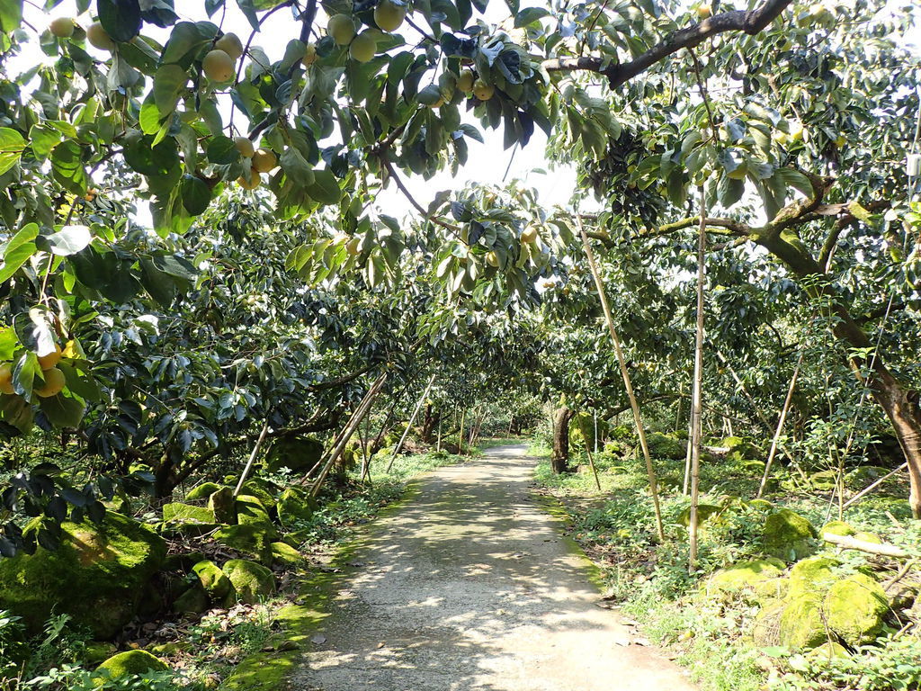 PA020538.JPG PA020538.JPG