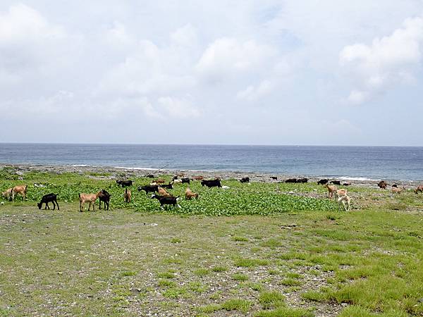 P8020236.JPG