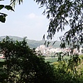 PA210049.JPG