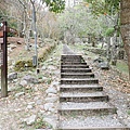 PC310002.JPG