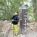 PC310020.JPG