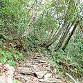 PC310038.JPG