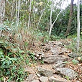 PC310039.JPG