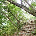PC310040.JPG